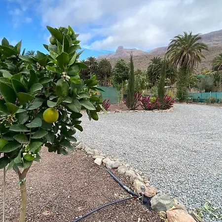 아파트 Cosy Country Near Maspalomas And Fataga
