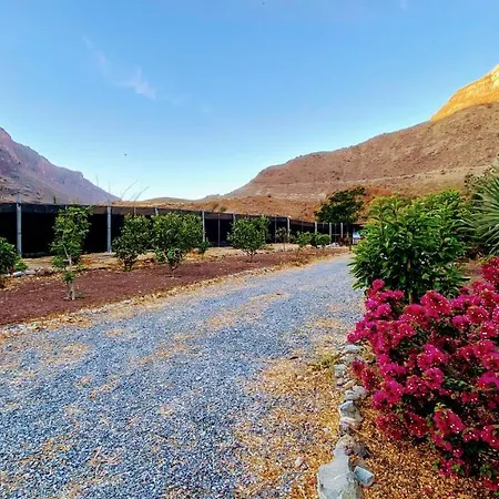 Cosy Country Near Maspalomas And Fataga 아파트 *